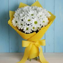 Букет цветов из:  Хризантемы в Березовке Пермский край