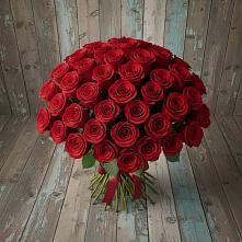Букет 55 Красных роз Фридом #REPLACE_PRED# Березовке Пермский край