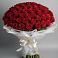 Букет 101 Красная роза Блэк Мэджик в Березовке Пермский край