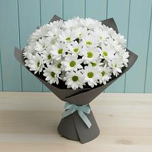 Букет цветов из:  Хризантемы в Березовке Пермский край