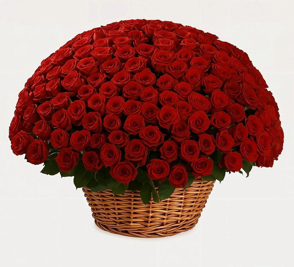 Премиум букет из: Розы в Березовке Пермский край