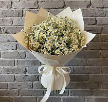 Букет цветов из:  Ромашки в Березовке Пермский край