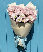 Букет цветов из:  Хризантемы в Березовке Пермский край