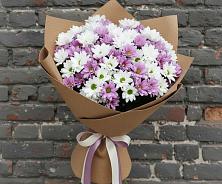 Букет цветов из:  Хризантемы в Березовке Пермский край