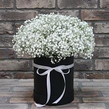 Цветочная композиция из Гипсофила в шляпной коробке #REPLACE_PRED# Березовке Пермский край