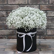 Цветочная композиция из Гипсофила в шляпной коробке в Березовке Пермский край