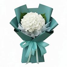 Букет цветов из:  Гортензия в Березовке Пермский край